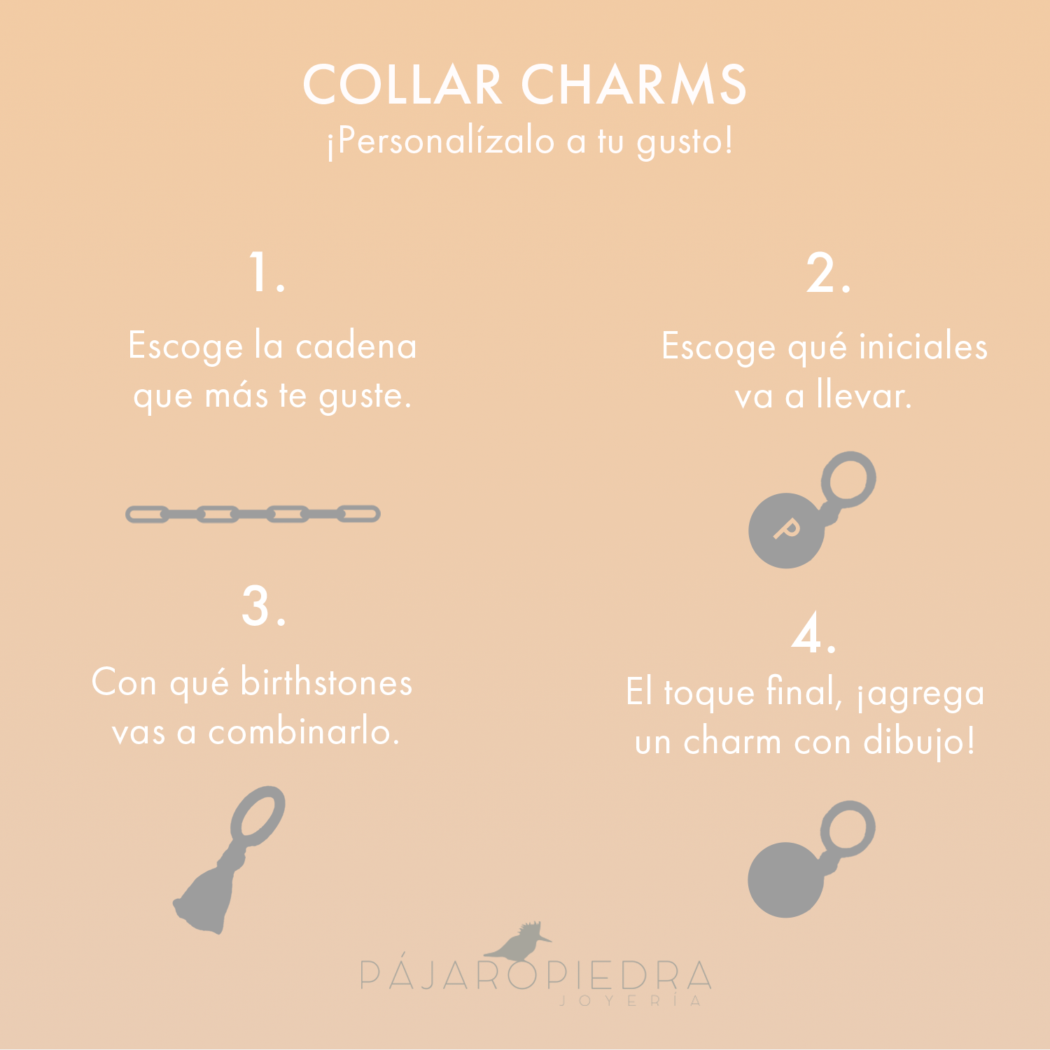 Collar Charms Plateado- Cadena Clásica ¡Personalízalo!